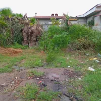 فروش زمین. داخل بافت ۲۰۰متری.|فروش زمین و ملک کلنگی|آمل, |دیوار