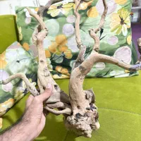 ریشه ابنوس مناسب تانک60سانت تا90سانت