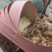 باکس گل