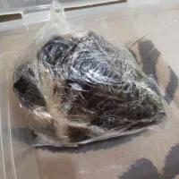 هیزه روغن حیوانی نه کیلویی توافقی