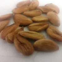 بادام درختی (خوراکی)|خوردنی و آشامیدنی|تهران, آرژانتین|دیوار