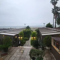 باریستا خانم