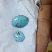 نگین نیشابور درسوسنگرد