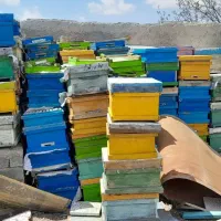 کندو‌ خالی زنبور