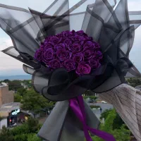 25شاخه بنفش فول شاین