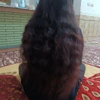 خریدار اصلی مو بانوان هستم