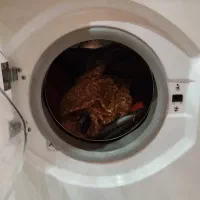 ماشین لبلسشویی حایر|ماشین لباسشویی و خشککن لباس|رشت, گیل|دیوار