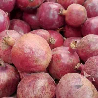 انار ساوه|خوردنی و آشامیدنی|قم, تولید دارو و یخچال|دیوار