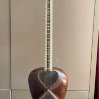 تار (مصطفی روزبهانی) حرفه ای