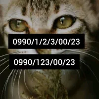 خط رند بدونه زنگخور بیلبوردی