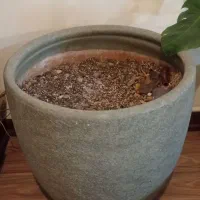 گلدان فایبرگلاس