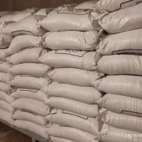 برنج کامفیروزی