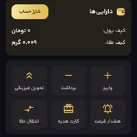 طلاپ رو نصب کن طلا ببر|کارت هدیه و تخفیف|نی‌ریز, |دیوار