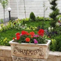 خاک باغچه گل باغچه|عمدهفروشی|شیراز, صاحب الزمان|دیوار