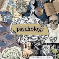 آغاز مسیر روانشناسی در قلب اروپا