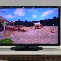 تلویزیون ال ای دی  سامسونگ ۴۲ اینچ|تلویزیون و پروژکتور|ری, شهادت|دیوار