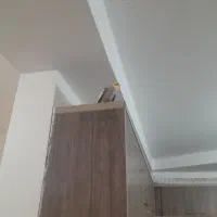 عروس هلندی سخن گو|پرنده|ماهدشت, |دیوار