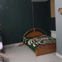 ۲ عدد آینه با متعلقات