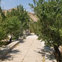 باغ ۴۰۰۰متریدر ویلاشهر  معاوضه با اپارتمان و ماشیت|فروش خانه و ویلا|شیراز, ویلاشهر|دیوار