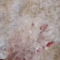 استخدام نیرو