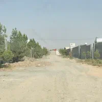 فروش زمین ویلایی ۶۵۱متر نقداقساطی بلندمدت بدون بهر|فروش زمین و ملک کلنگی|مشهد, عبادی|دیوار