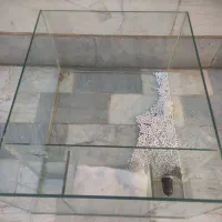 اکواریوم