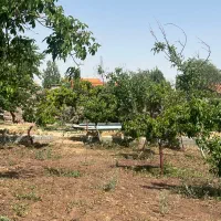 فروش زمین ۵۰۰ متری در جابان|فروش زمین و ملک کلنگی|دماوند, گیلاوند|دیوار