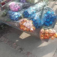 گل رز هلندی رایگان// باکس کادویی رایگان