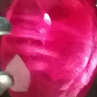 ۲ انگشترنقره یاقوت سرخ وسنگ یاقوت کهنه وگبری