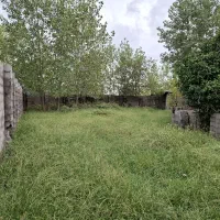 زمین مسکونی ۶۲۰ متری سند تک برگ و پروانه ساخت|فروش زمین و ملک کلنگی|رشت, گلسار|دیوار