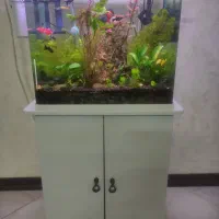 آکواریوم شرکتی