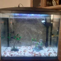 آکواریوم ماهیران