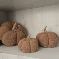 کدو  پولیشی فانتزی