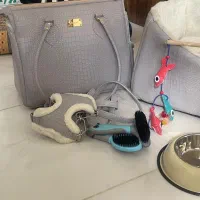 وسایل سگ و گربه|لوازم جانبی حیوانات|قدس, شهر‌قدس|دیوار