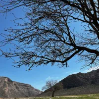 240 متر مسکونی در بستک