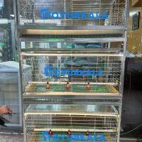 راندمان*پرورش اکبرجوجه ای با قفس|لوازم جانبی حیوانات|قائم‌شهر, |دیوار