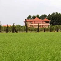 زمین روستای ساقصلو