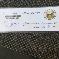 مادیان یکسر|اسب و تجهیزات اسبسواری|کارون, |دیوار