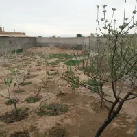 فروش املاک|فروش خانه و ویلا|شال, |دیوار