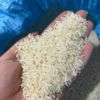 برنج هاشمی