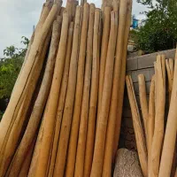 خریدار درختان باغی و چوب های اتاق های قدیمی