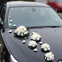 تزیین ماشین عروس1500|گل مصنوعی|زاهدان, |دیوار