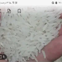 برنج هاشمی درجه 1