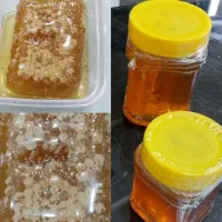 عسل طبیعی سرعین|خوردنی و آشامیدنی|اندیشه, شهرک مریم|دیوار