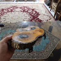 شلف دیواری طرح تنه درخت (کنده درخت )رزین شده|کتابخانه، شلف، قفسههای دیواری|فردیس, شهرک شهید حسینی|دیوار