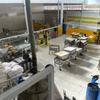 نبات خورده|خوردنی و آشامیدنی|خمینی‌شهر, |دیوار