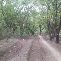 فروش ۲۴۶۰ متری در بهاران|فروش دفتر صنعتی، کشاورزی، تجاری|تهران, بهاران|دیوار