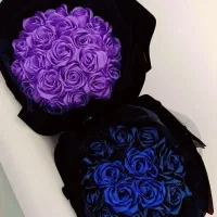 گل رز|گل و گیاه طبیعی|بجنورد, |دیوار