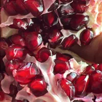 قبول انواع سفارش میوه وتره بار|خدمات پذیرایی، مراسم|کرمان, |دیوار