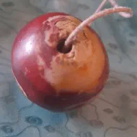 مهره کهنه اصل،زیرخاکی درشت|جواهرات|ازنا, |دیوار